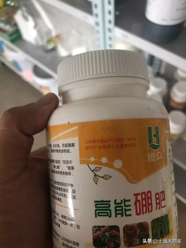 苹果树套带以后还喷朋肥吗？-第3张图片-太平洋在线下载