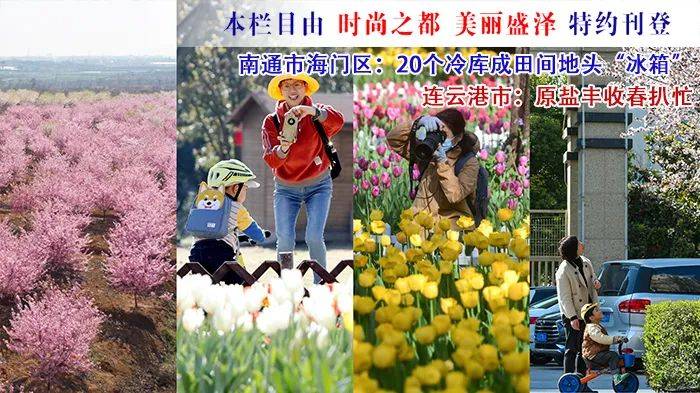 樱花校园mod版苹果:江苏24小时·滚动推送|全省各地春花烂漫 又到最佳赏花时