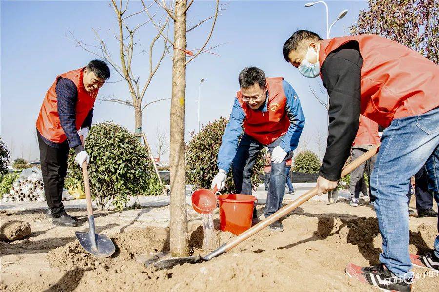 樱花校园mod版苹果:江苏24小时·滚动推送|全省各地春花烂漫 又到最佳赏花时-第16张图片-太平洋在线下载