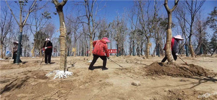 樱花校园mod版苹果:江苏24小时·滚动推送|全省各地春花烂漫 又到最佳赏花时-第19张图片-太平洋在线下载