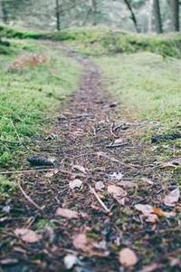 和平精英手机版开挂苹果版