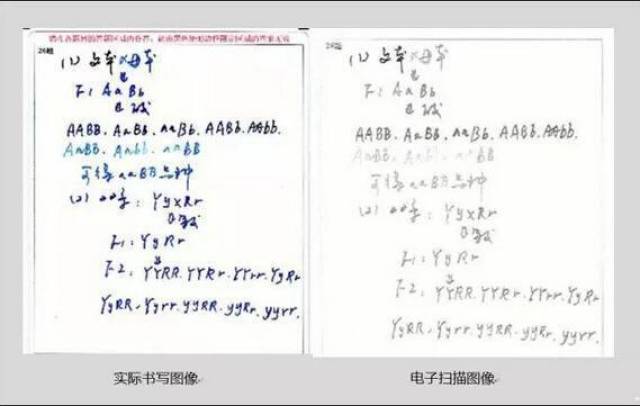 网上评卷客户端天一网上阅卷客户端-第2张图片-太平洋在线下载