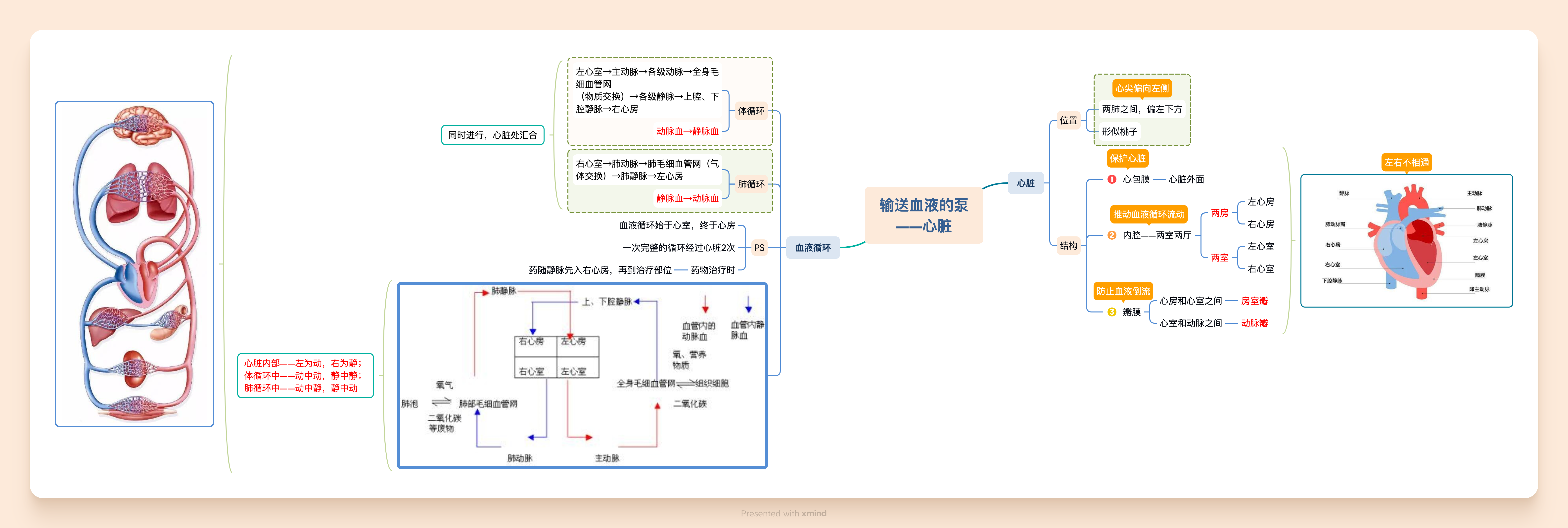 mindmap中文版安卓版mindmapper中文绿化版-第2张图片-太平洋在线下载