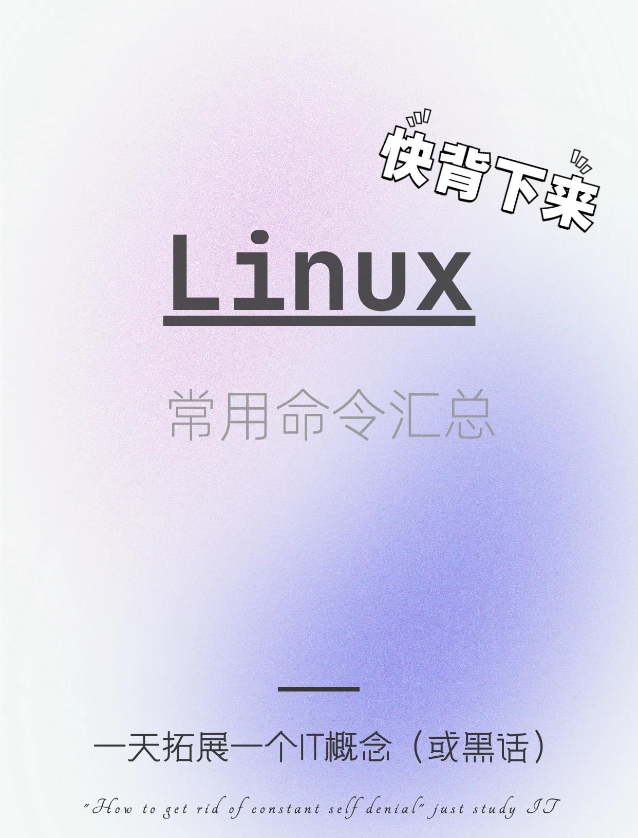 linux命令手机版(手机linux命令行工具)-第5张图片-QuickQ官网 linux命令手机版(手机linux命令行工具)-第5张图片-QuickQ官网
