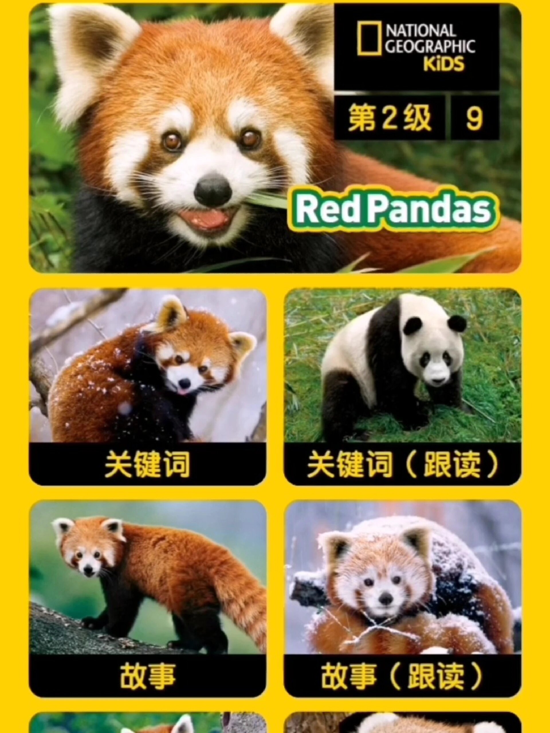 panda破解版苹果版(pandaclip破解版)