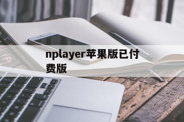 nplayer苹果版已付费版(nplayer ios账号分享 2020)-第4张图片-QuickQ官网