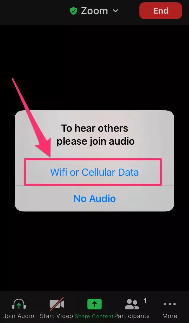 zoom手机版没声音(手机上zoom没有声音)-第4张图片-QuickQ官网