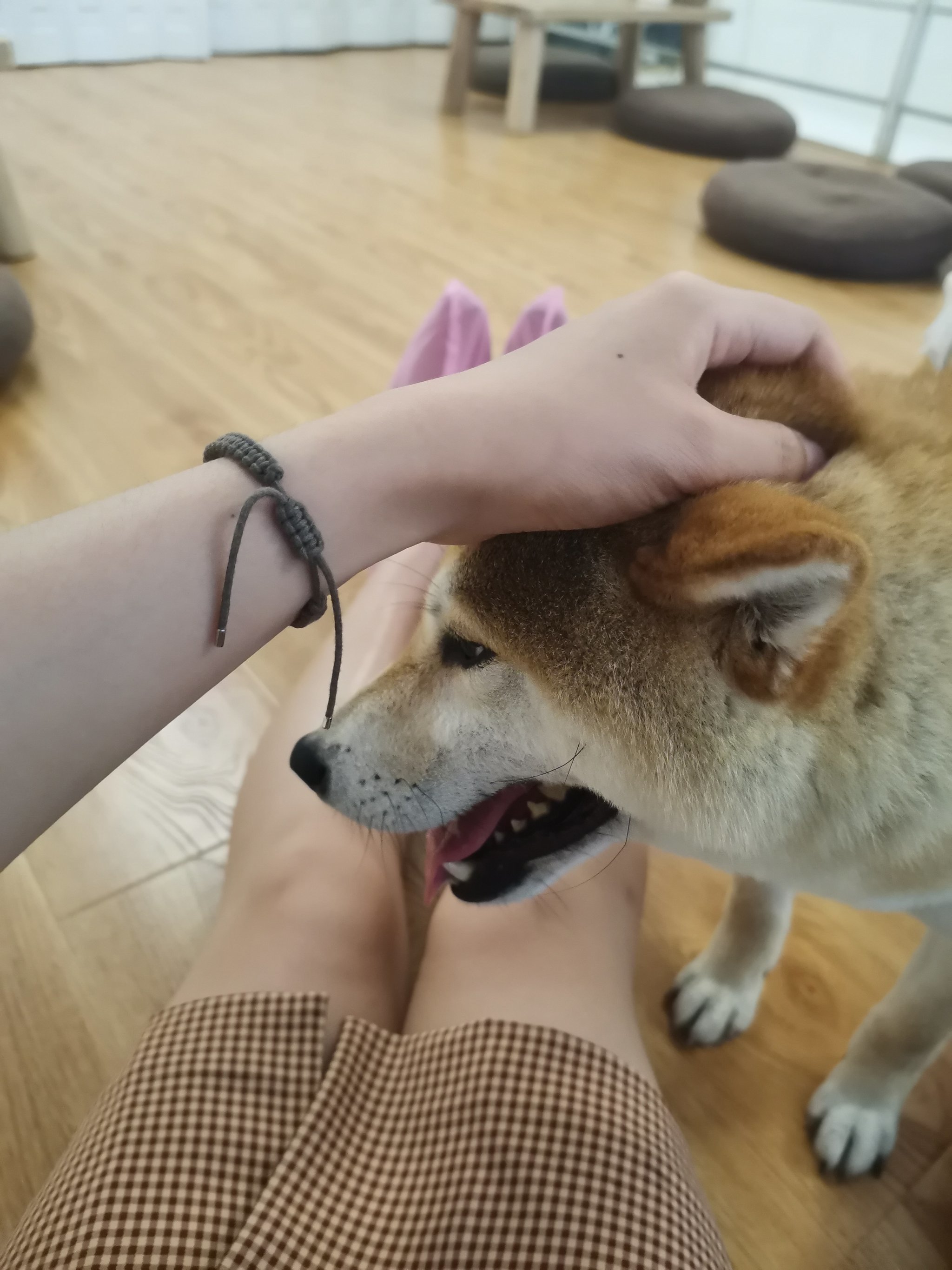 anjiulu手机版(安九路增设收费站的公告)-第3张图片-QuickQ官网