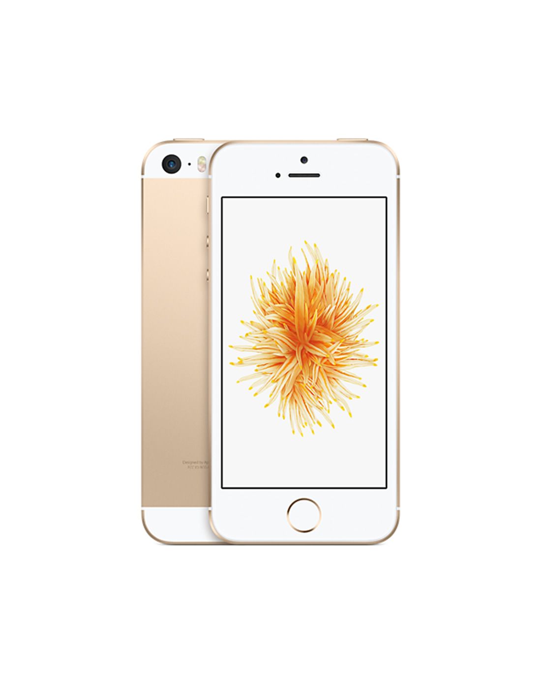 苹果公开版和单卡版(苹果公开版和4g版区别)-第1张图片-QuickQ官网