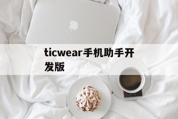 ticwear手机助手开发版(ticwear助手开发版苹果客户端)