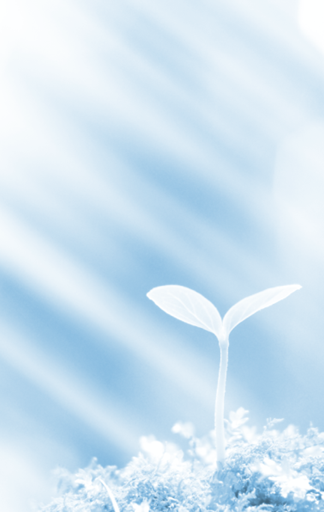 兔展手机版如何制作(兔展怎么在手机上制作)-第4张图片-QuickQ官网