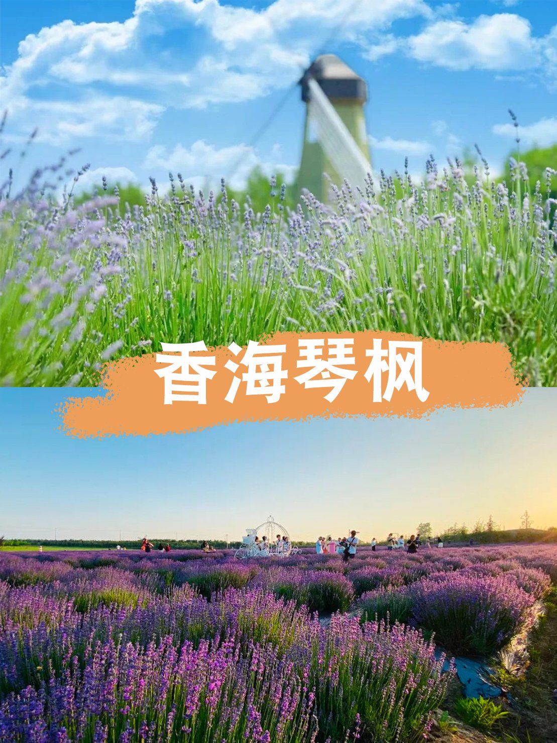 浪漫庄园手机版攻略(浪漫庄园手机版攻略大全)-第2张图片-QuickQ官网 浪漫庄园手机版攻略(浪漫庄园手机版攻略大全)-第2张图片-QuickQ官网