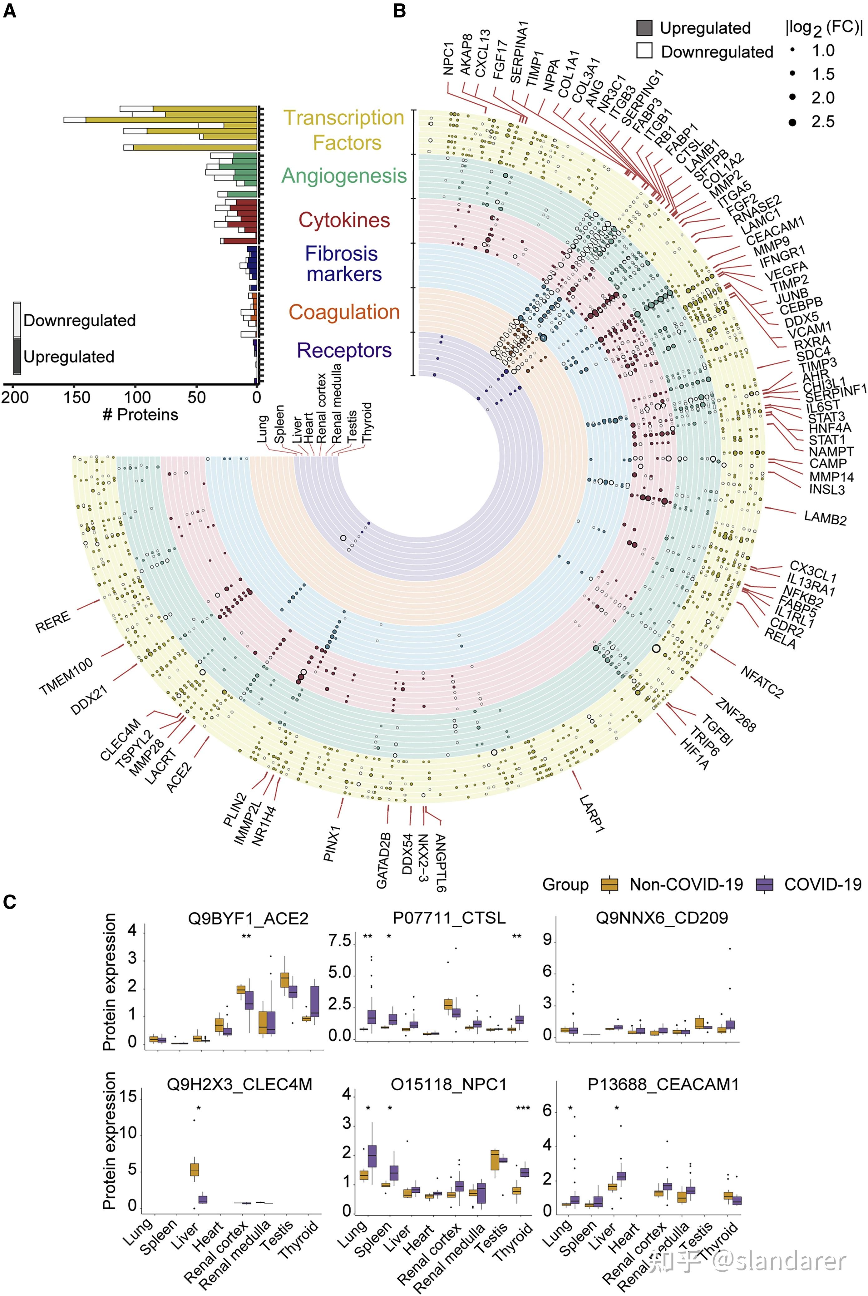 怎样使用matlab手机版(手机上的matlab怎么运行)-第5张图片-QuickQ官网 怎样使用matlab手机版(手机上的matlab怎么运行)-第5张图片-QuickQ官网