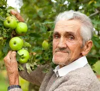 lostlif苹果版(lostlife手机破解版)-第1张图片-QuickQ官网 lostlif苹果版(lostlife手机破解版)-第1张图片-QuickQ官网