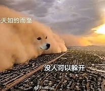 沙雕生物手机版下载(沙雕生物手机版下载安装)